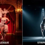 Difference Between Burlesque and Stripping