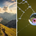 Differences Between Macro and Micro